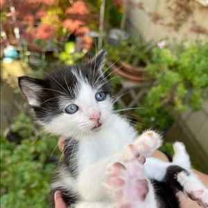 Meet your Posher, Olivia